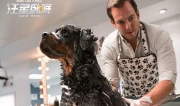 紫狗爆料提前爆料视频大全,提前爆料视频大全精彩抢先看