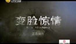 北方影院在线观看,在线观影新体验，畅享经典影视盛宴