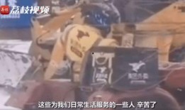 东北小哥爆料青龙视频大全,青龙视频大全背后的精彩故事