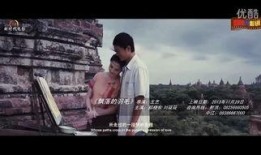 在线观看 飘,乱世佳人——一段跨越时代的爱情传奇