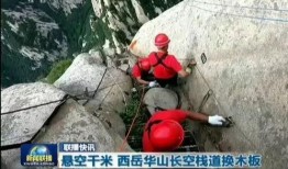 黑龙江卫视爆料新闻直播,重大新闻事件直播追踪