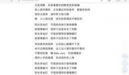 新闻爆料歌曲搞笑歌词是什么,新闻爆料背后的幽默旋律