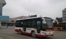 葫芦岛公交车爆料视频,惊现惊人一幕，网友热议不已！