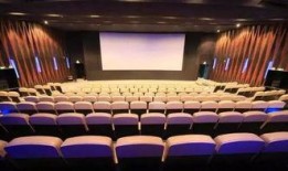 东莞电影院爆料新闻,惊现神秘事件，真相令人震惊！