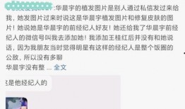 娱乐吃瓜站完整版,娱乐吃瓜站完整版深度解析
