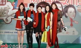 花样姐姐在线观看,一场跨越年龄与文化的时尚之旅