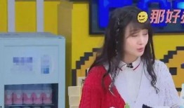 豆瓣爆料娱乐圈张恒,娱乐圈爆料背后的真相与争议