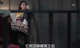 小朋友在成都爆料视频,揭秘童趣成都生活点滴