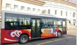 葫芦岛公交车爆料视频,惊现惊人一幕，网友热议不已！