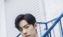 天涯爆料肖战的视频在线观看,肖战视频在线观看，揭秘背后惊人真相