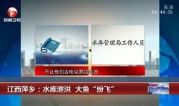 梧州电视台新闻爆料热线,聚焦民生，倾听民声