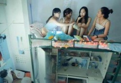 学生宿舍爆料视频大全集,爆料视频大全集精彩回顾