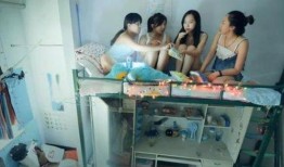 学生宿舍爆料视频大全集,爆料视频大全集精彩回顾