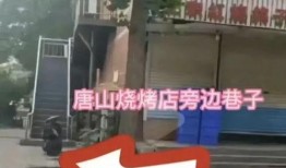 唐山事情爆料最新,真相与反思交织的街头暴力事件