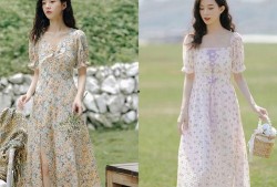 最新爆料裙子图片,揭秘最新爆款裙子造型解析