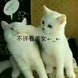 娱乐吃瓜酱三花