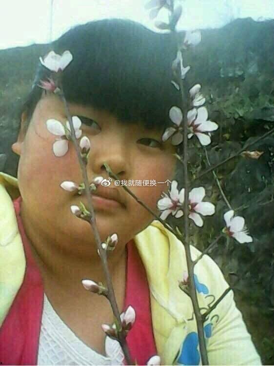 娱乐大嘴吃瓜视频大全下载,揭秘娱乐圈幕后故事