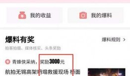 今日头条爆料赚钱了,揭秘赚钱新途径，轻松实现财富增长