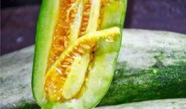 吃瓜百万网红排行榜,揭秘百万网红的瓜界传奇